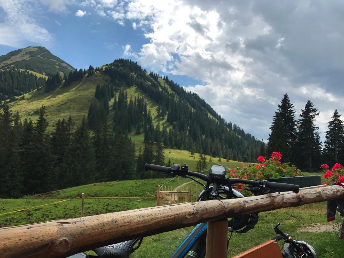 Bayern Resort Hotel - Adults Only - Mit Zugspitzblick - Eibsee-Naehe - Wellnessbereich - Naturpool Im Sommer Grainau Luaran gambar